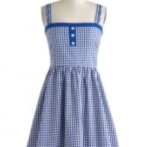 ISO ‼️ Blueberry Picking dress by Fervour